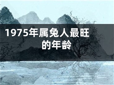 1975年属兔人最旺的年龄