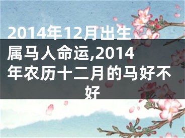 2014年12月出生属马人命运,2014年农历十二月的马好不好