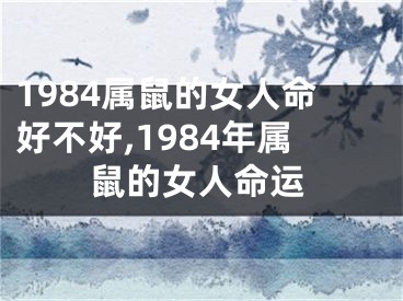 1984属鼠的女人命好不好,1984年属鼠的女人命运
