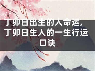 丁卯日出生的人命运,丁卯日生人的一生行运口诀