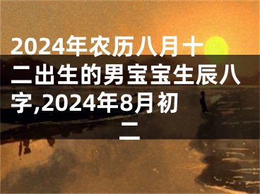 2024年农历八月十二出生的男宝宝生辰八字,2024年8月初二