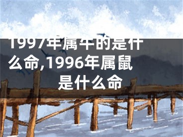1997年属牛的是什么命,1996年属鼠是什么命