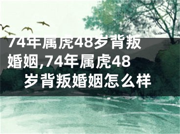 74年属虎48岁背叛婚姻,74年属虎48岁背叛婚姻怎么样