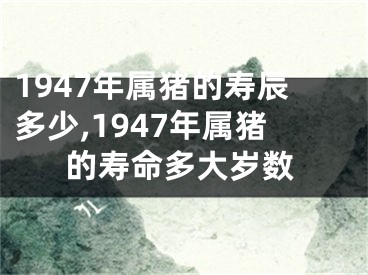 1947年属猪的寿辰多少,1947年属猪的寿命多大岁数