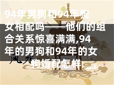 94年男狗和94年狗女相配吗——他们的组合关系惊喜满满,94年的男狗和94年的女狗婚配怎样