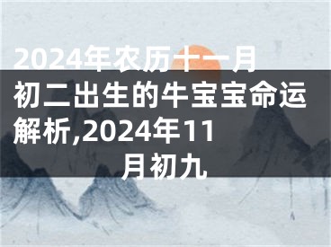 2024年农历十一月初二出生的牛宝宝命运解析,2024年11月初九