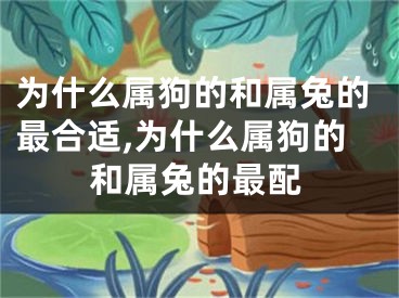 为什么属狗的和属兔的最合适,为什么属狗的和属兔的最配