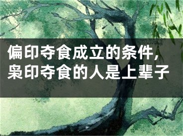 偏印夺食成立的条件,枭印夺食的人是上辈子