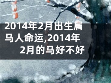 2014年2月出生属马人命运,2014年2月的马好不好
