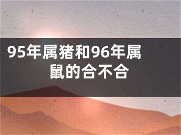 95年属猪和96年属鼠的合不合