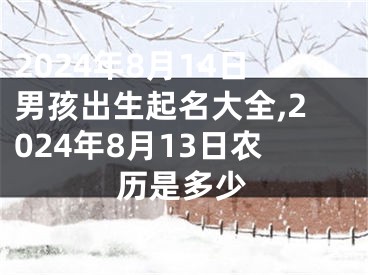 2024年8月14日男孩出生起名大全,2024年8月13日农历是多少