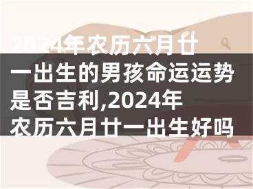 2024年农历六月廿一出生的男孩命运运势是否吉利,2024年农历六月廿一出生好吗