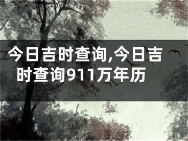 今日吉时查询,今日吉时查询911万年历