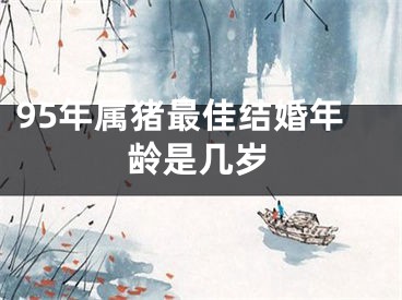 95年属猪最佳结婚年龄是几岁