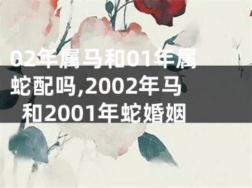 02年属马和01年属蛇配吗,2002年马和2001年蛇婚姻