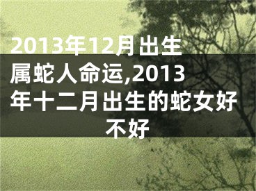 2013年12月出生属蛇人命运,2013年十二月出生的蛇女好不好