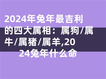 2024年兔年最吉利的四大属相：属狗/属牛/属猪/属羊,2024兔年什么命