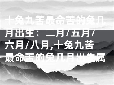 十兔九苦最命苦的兔几月出生：二月/五月/六月/八月,十兔九苦最命苦的兔几月出生属