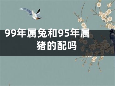 99年属兔和95年属猪的配吗