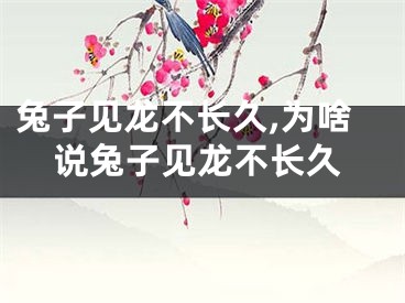 兔子见龙不长久,为啥说兔子见龙不长久