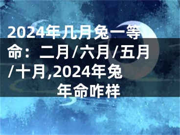 2024年几月兔一等命：二月/六月/五月/十月,2024年兔年命咋样