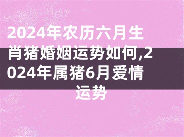 2024年农历六月生肖猪婚姻运势如何,2024年属猪6月爱情运势