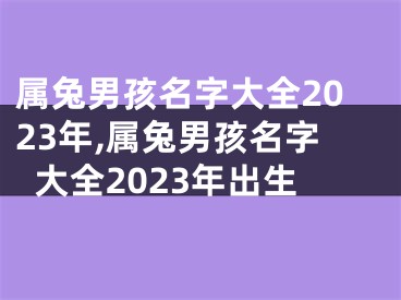 属兔男孩名字大全2023年,属兔男孩名字大全2023年出生