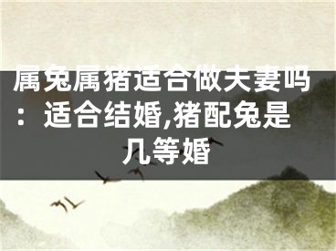 属兔属猪适合做夫妻吗：适合结婚,猪配兔是几等婚