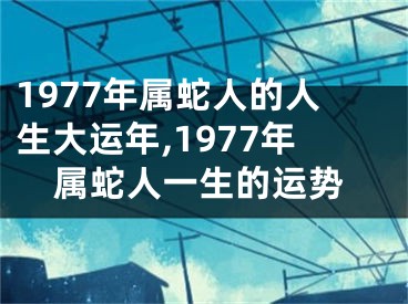 1977年属蛇人的人生大运年,1977年属蛇人一生的运势
