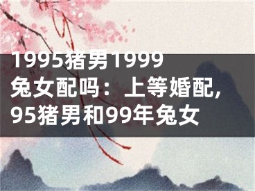 1995猪男1999兔女配吗：上等婚配,95猪男和99年兔女