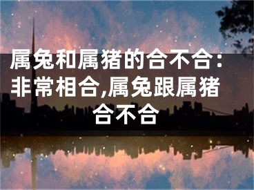 属兔和属猪的合不合：非常相合,属兔跟属猪合不合