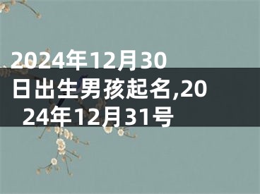 2024年12月30日出生男孩起名,2024年12月31号
