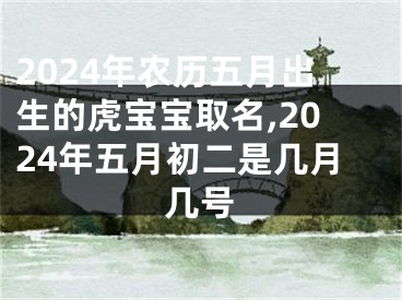 2024年农历五月出生的虎宝宝取名,2024年五月初二是几月几号
