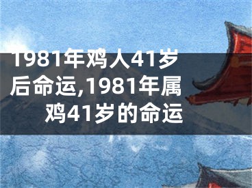 1981年鸡人41岁后命运,1981年属鸡41岁的命运