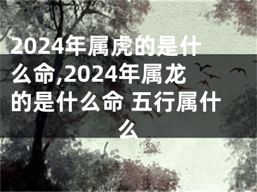 2024年属虎的是什么命,2024年属龙的是什么命 五行属什么