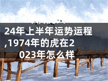 1974年属虎人2024年上半年运势运程,1974年的虎在2023年怎么样