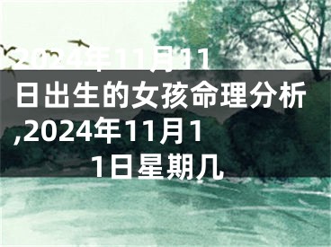 2024年11月11日出生的女孩命理分析,2024年11月11日星期几