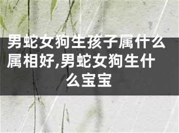 男蛇女狗生孩子属什么属相好,男蛇女狗生什么宝宝