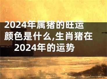 2024年属猪的旺运颜色是什么,生肖猪在2024年的运势