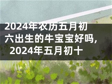 2024年农历五月初六出生的牛宝宝好吗,2024年五月初十