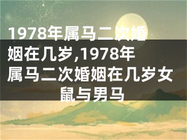 1978年属马二次婚姻在几岁,1978年属马二次婚姻在几岁女鼠与男马