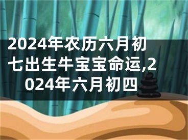 2024年农历六月初七出生牛宝宝命运,2024年六月初四