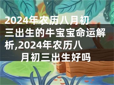 2024年农历八月初三出生的牛宝宝命运解析,2024年农历八月初三出生好吗
