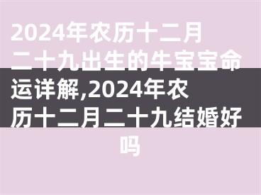 2024年农历十二月二十九出生的牛宝宝命运详解,2024年农历十二月二十九结婚好吗