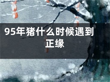 95年猪什么时候遇到正缘