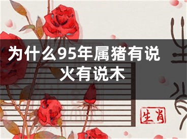 为什么95年属猪有说火有说木