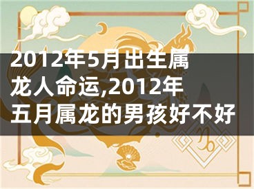 2012年5月出生属龙人命运,2012年五月属龙的男孩好不好