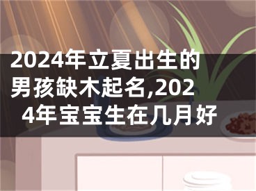 2024年立夏出生的男孩缺木起名,2024年宝宝生在几月好