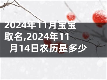 2024年11月宝宝取名,2024年11月14日农历是多少