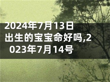 2024年7月13日出生的宝宝命好吗,2023年7月14号